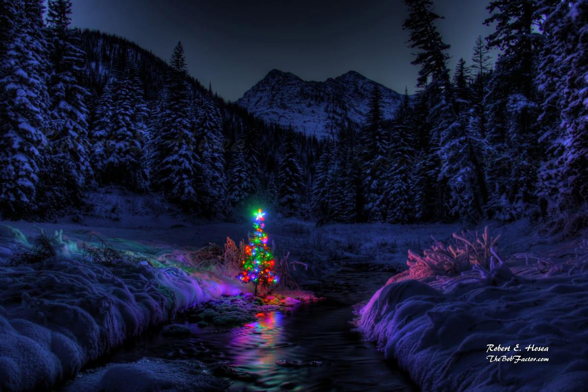 Snowshoe Creek